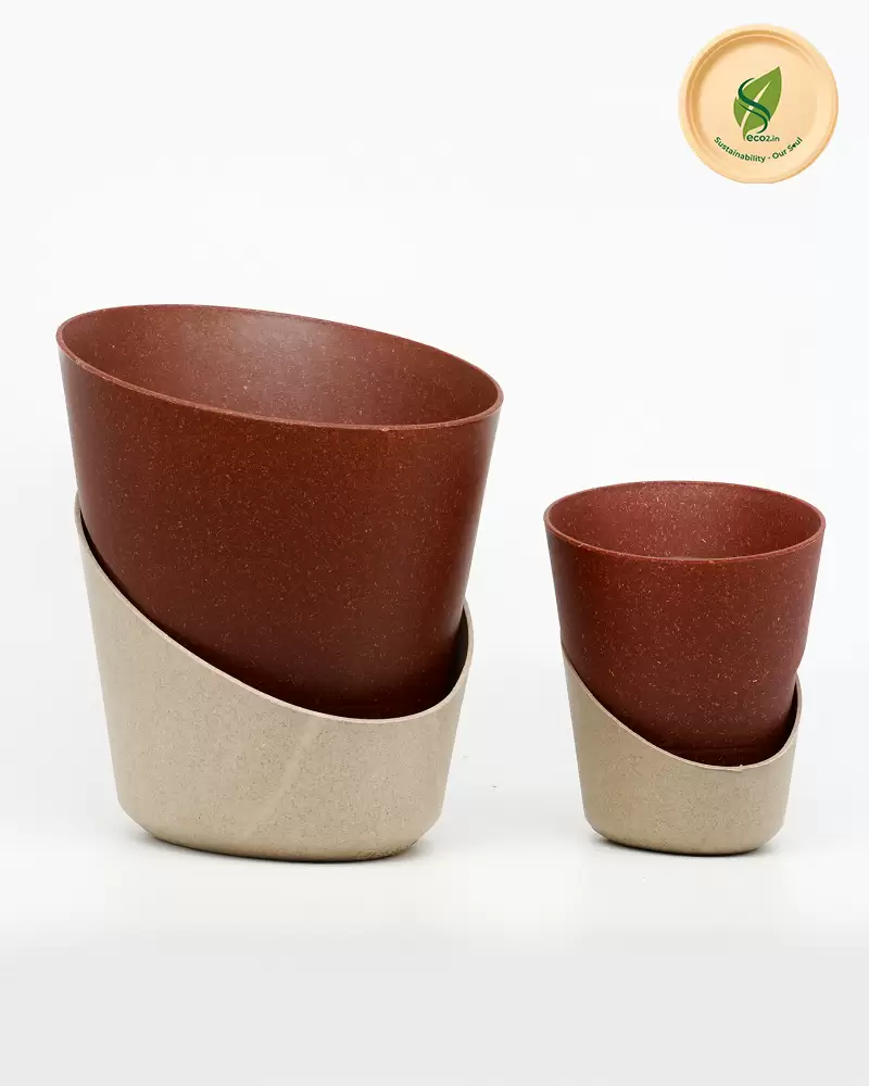 Eco Style Bloom image